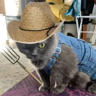 Ranch