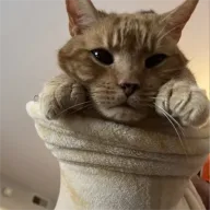 Burritotirrub