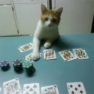 Hes All In