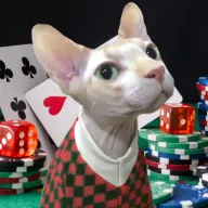 Lewis the Gambler