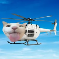 Thelicopter