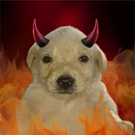 Hotchua
