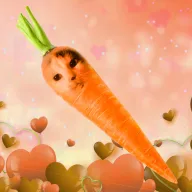 Carrot Nears