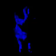 Shadow Nears