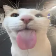 The Licker