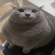 Walter