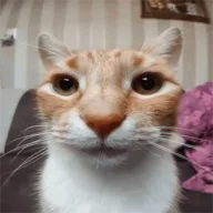 Phillip