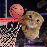 The Baller
