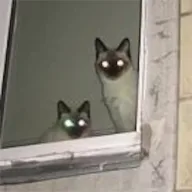 The Peepers