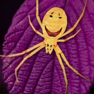 Evil Edward Spider