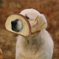 Bread Guy