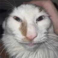 Ezekiel