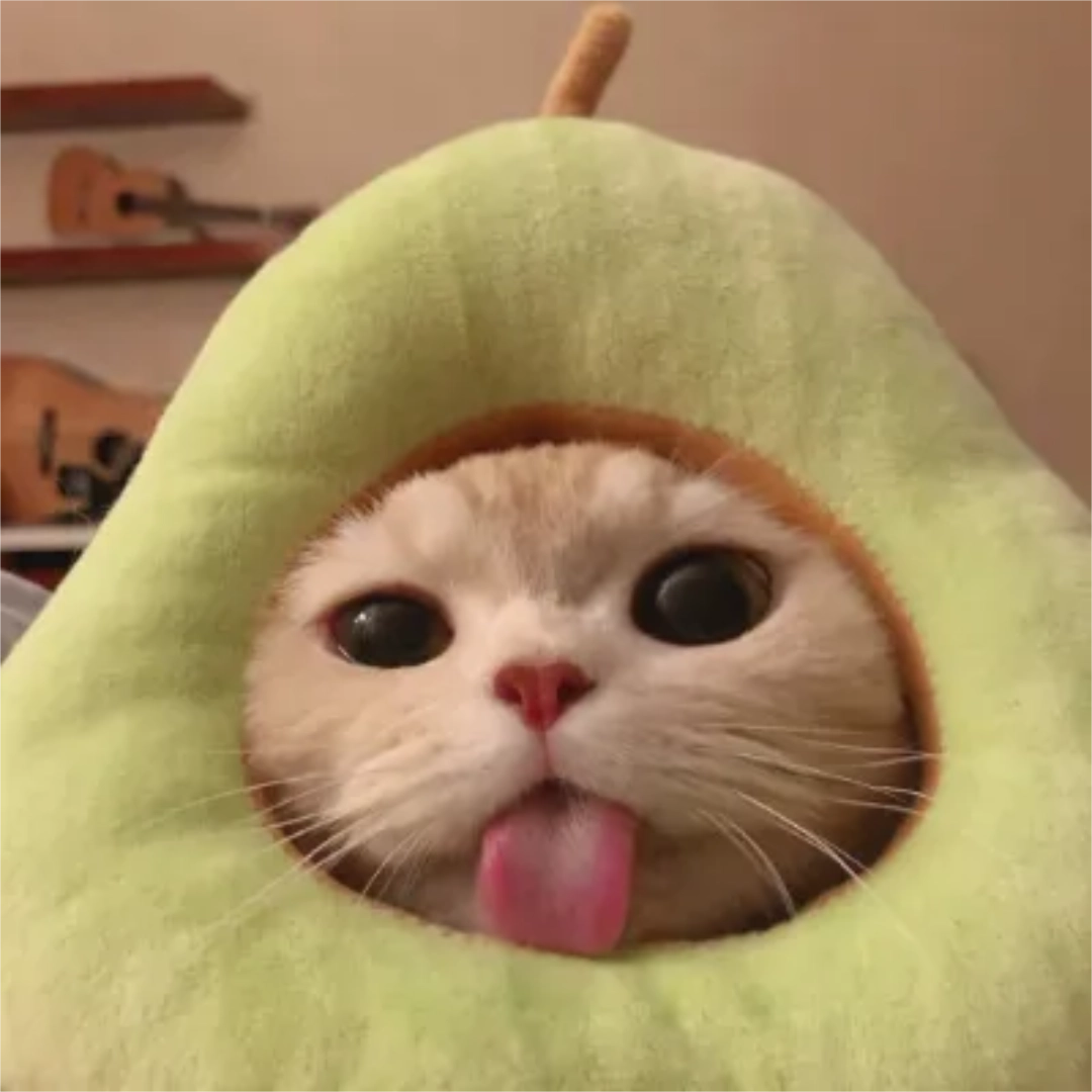 Avocato