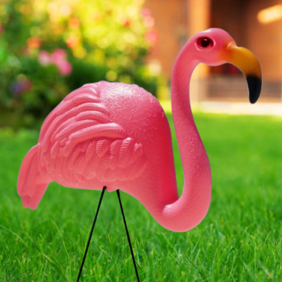Flamingo Phillip