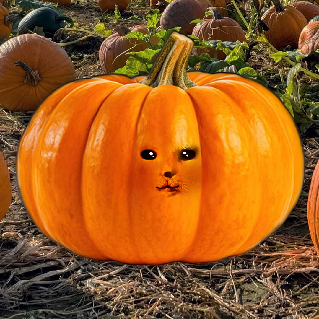 The Graceful Pumpkin