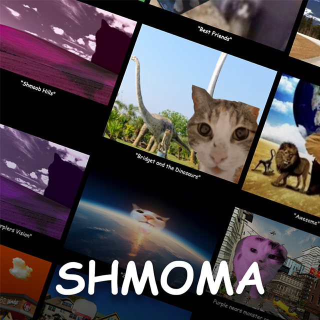SHMOMA
