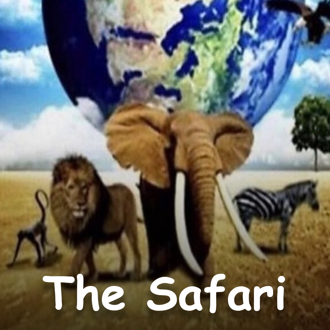 The Safari